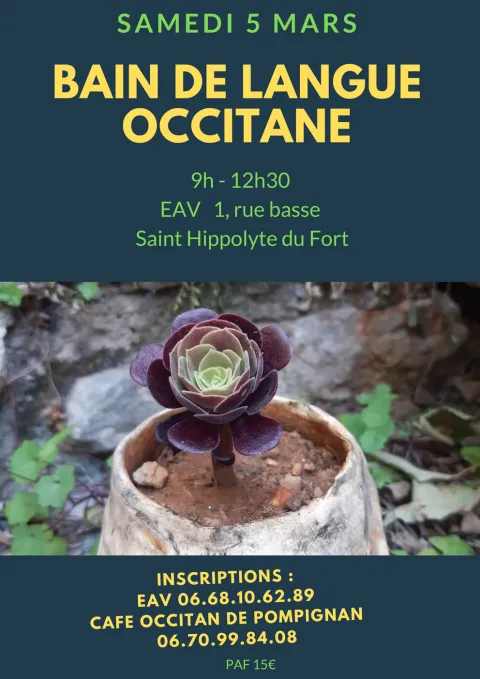Bain de langue