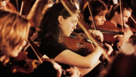Atelier de violons